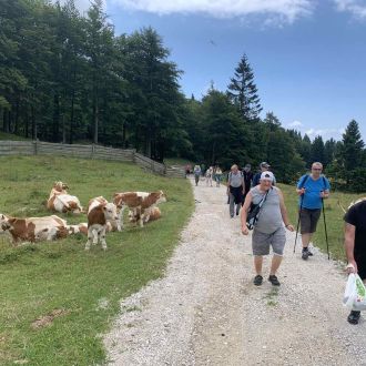 Menina planina 2