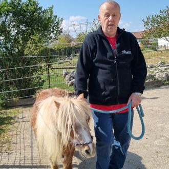Druženje z živalmi