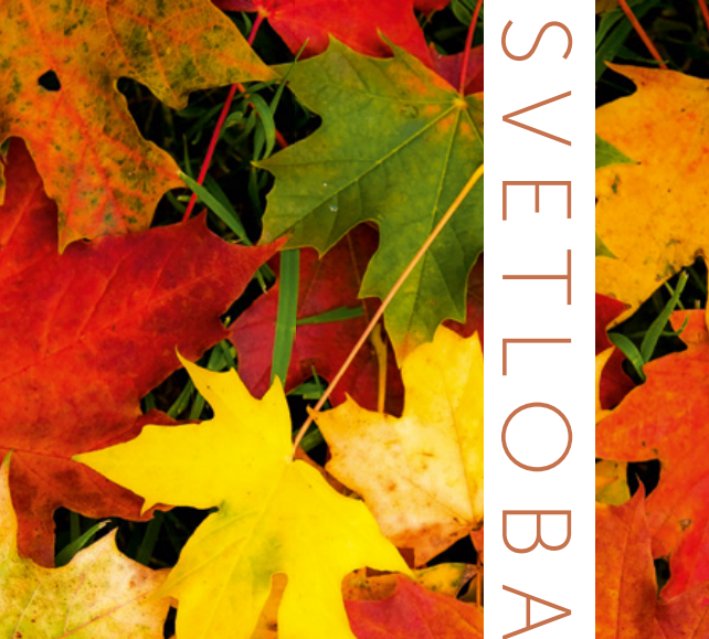 Svetloba November 2015