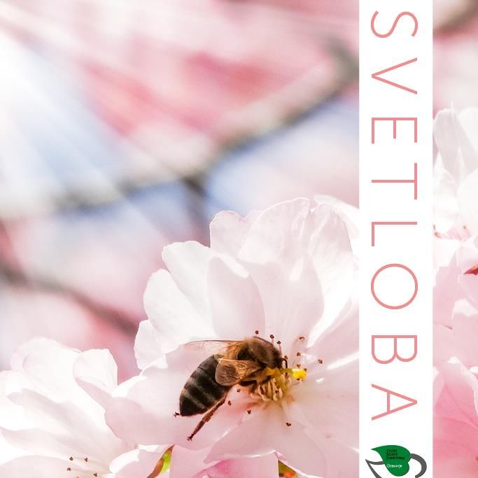 Svetloba Maj 2018