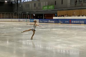 Ogled tekmovanja v umetnostnem drsanju